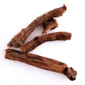 TRAQUEA CORDERO