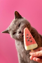 HELADOS Y CREMAS