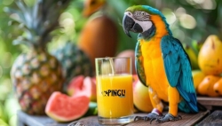VITAMINAS
