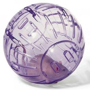 BOLA DE PASEO HAMSTER MEDIANA 12CM