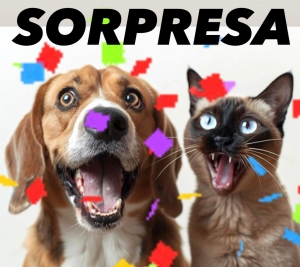 PACK SORPRESA PERRO O GATO